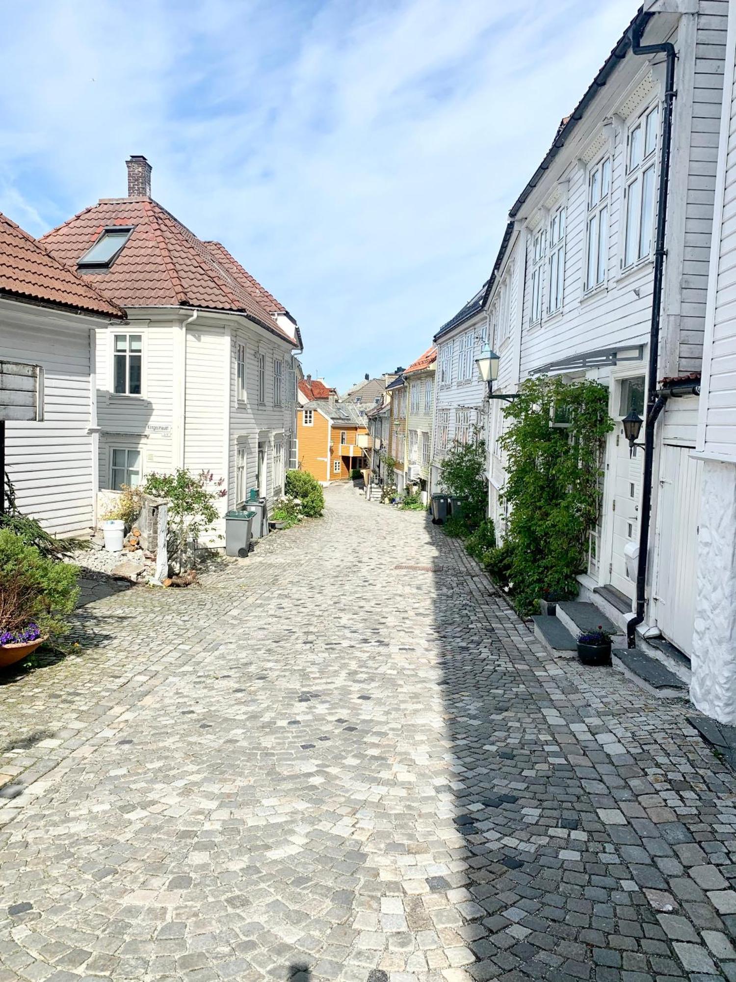 Nedre Stolen Apartment Bergen Zewnętrze zdjęcie