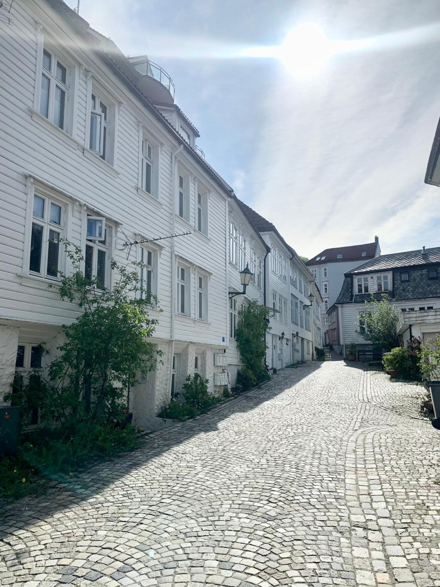 Nedre Stolen Apartment Bergen Zewnętrze zdjęcie